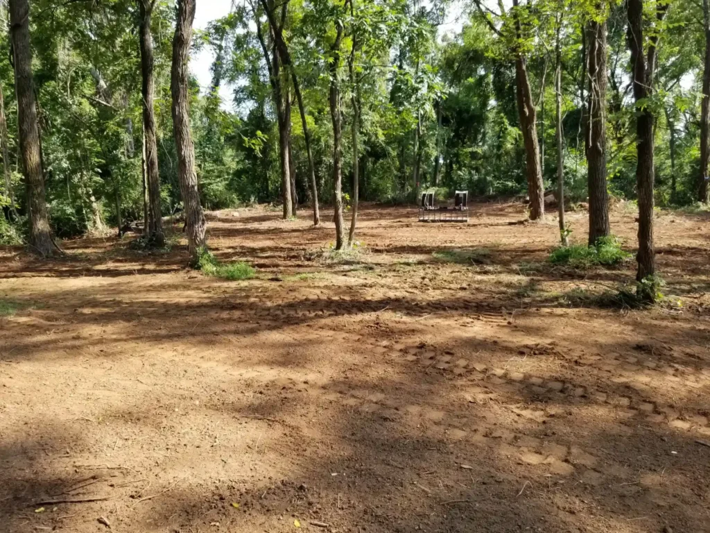 imgi_46_land-clearing-scaled-1
